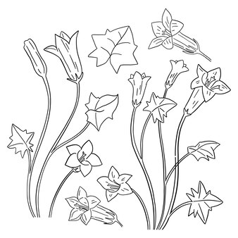 Page spring flowers coloring page images