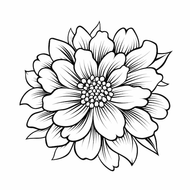 Premium vector cute flowers printable coloring page spring floral isolated on white background