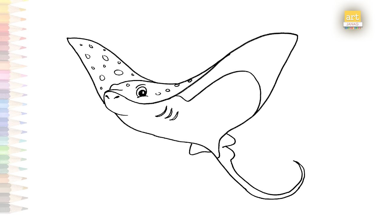 Stingray drawing fish drawing tutorials how to draw stingray step by step easy drawing videos