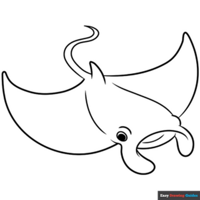 Sting ray drawing ideas for pokemon fans