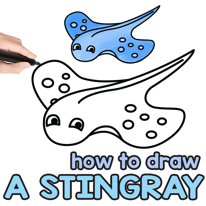 How to draw a stingray â step by step drawing tutorial