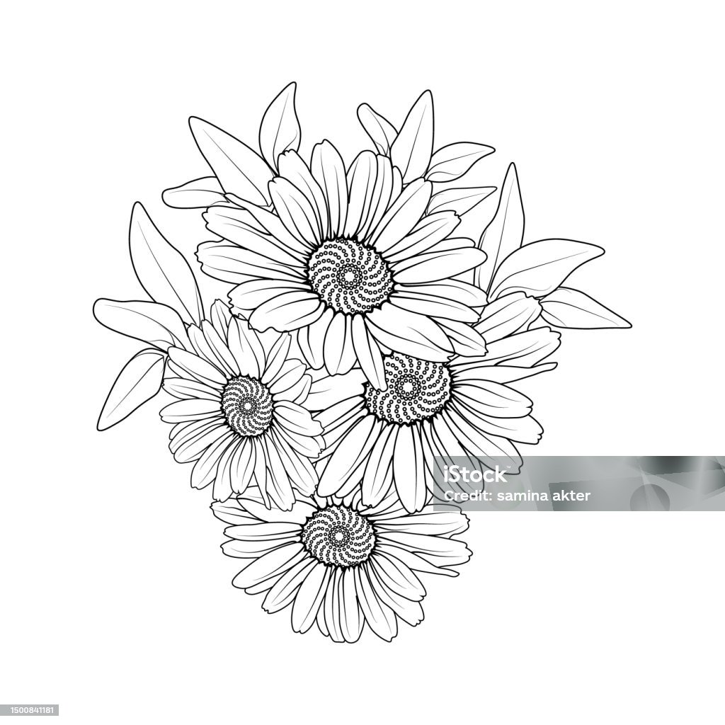 Daisy flower coloring pages daisy flower bouquet tattoo small daisy tattoo elegant minimalist daisy tattoo daisy tattoo black and white simple daisy flower coloring pages daisy flower drawing daisy flower vector art