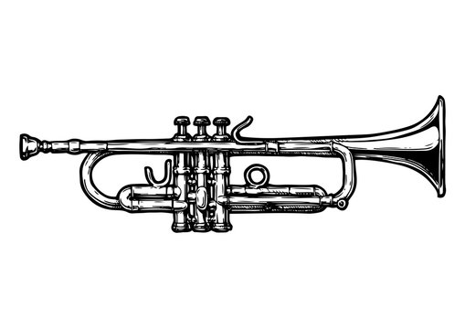 Trumpet sketch images â browse photos vectors and video