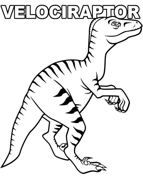 Printable velociraptor coloring page sheet dinosaur coloring sheets dinosaur coloring pages dinosaur coloring