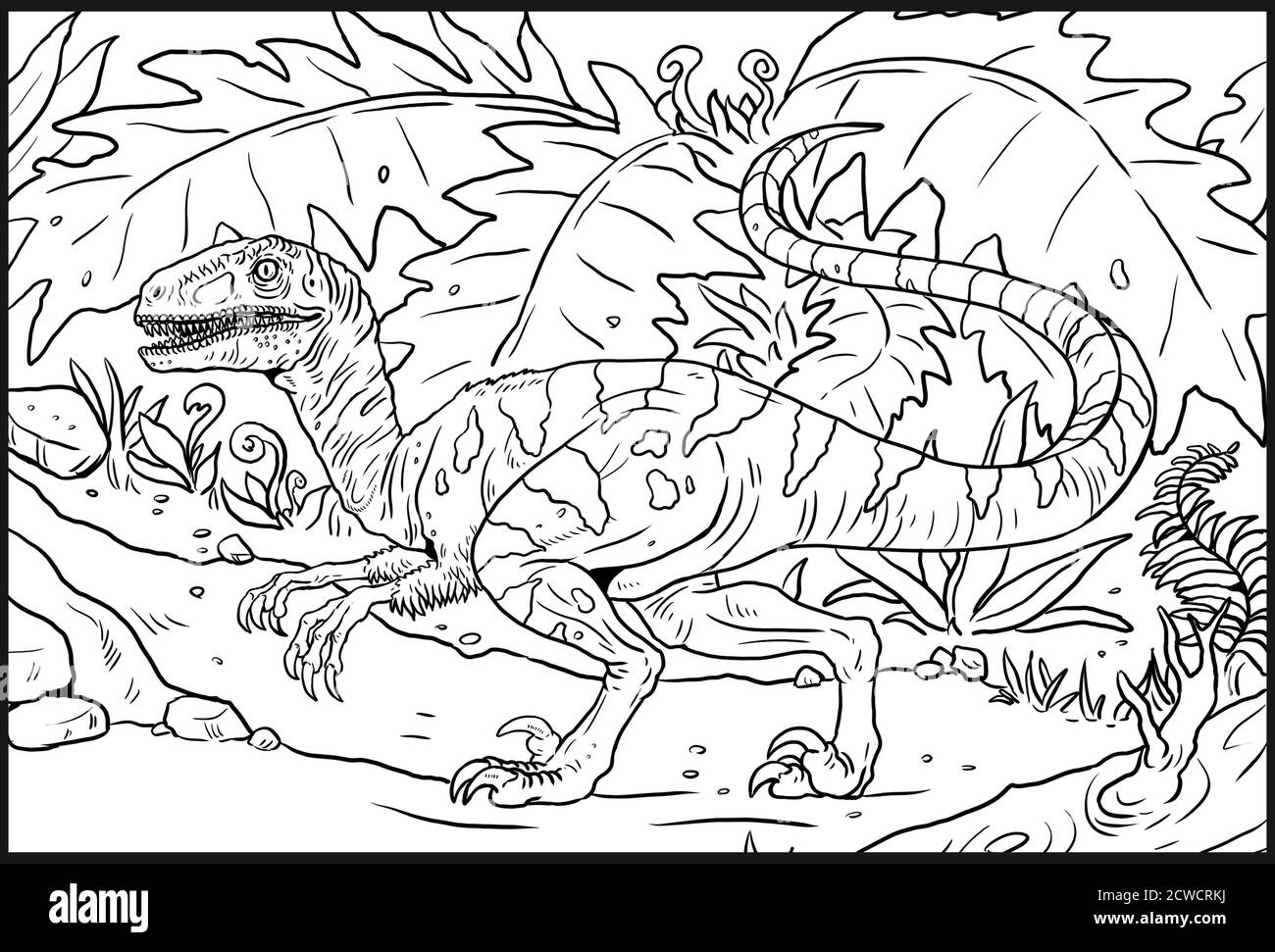 Velociraptor black and white stock photos images