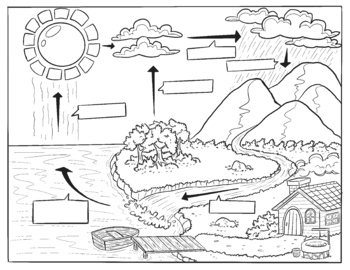 Water cycle coloring tpt