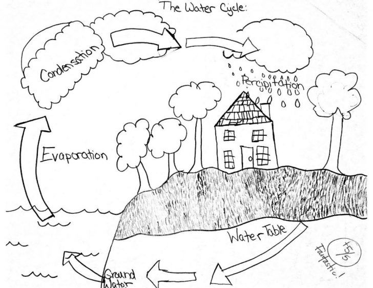 Water cycle coloring page coloring pages coloring pages waterycle page free worksheets