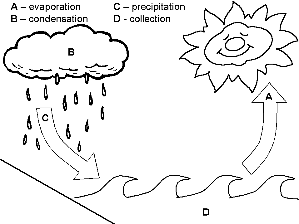 Amazing action alphabet teaching letter w while learning about the weather and the water cycle