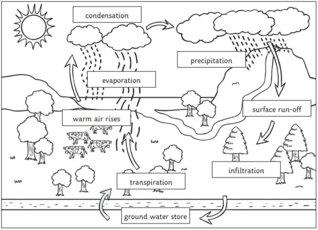 What is the water cycle facts for kids usa