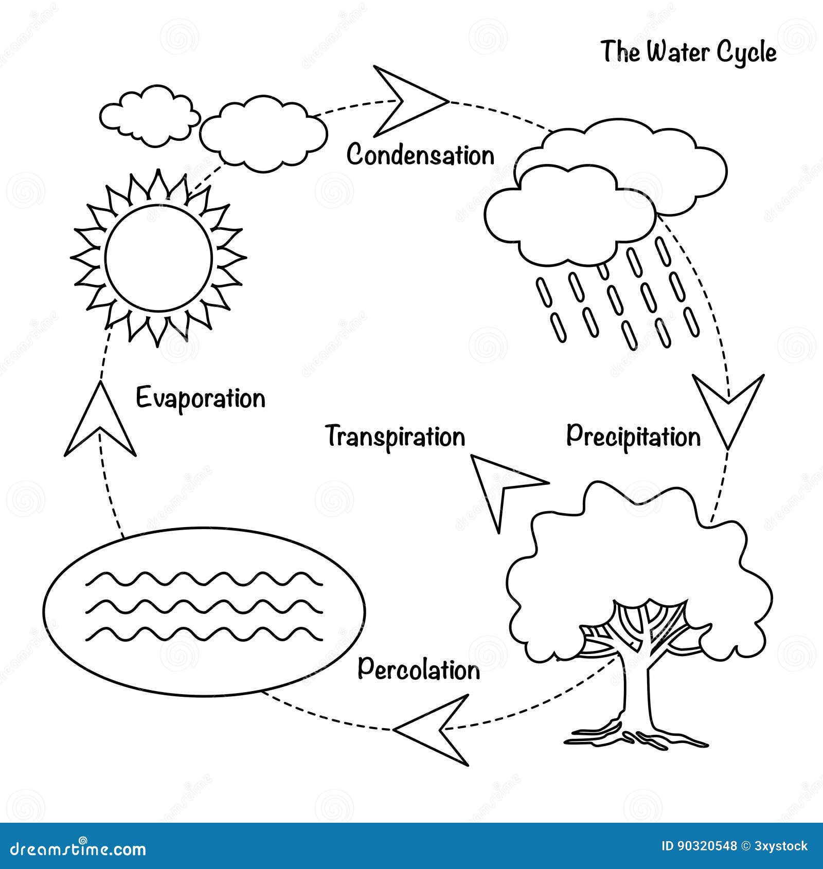 Water cycle diagram stock illustrations â water cycle diagram stock illustrations vectors clipart
