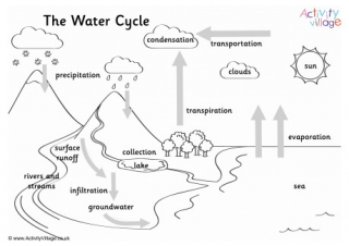 The water cycle