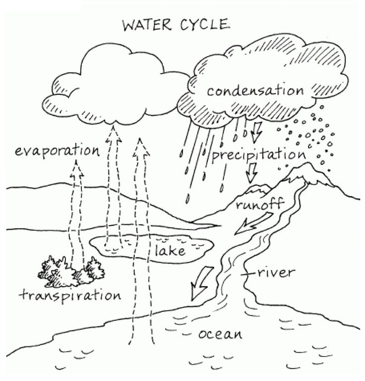 Within water cycle coloring page free pages online sketch coloring page water cycle worksheet water cycle water cycle diagram