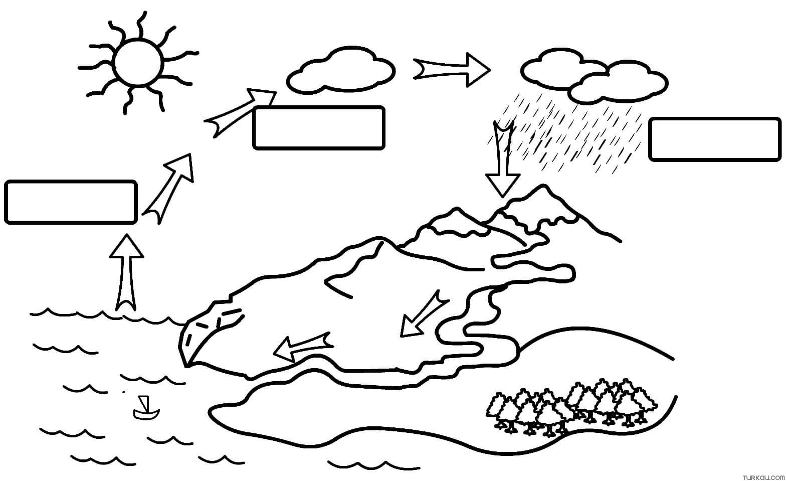 Easy water cycle coloring page