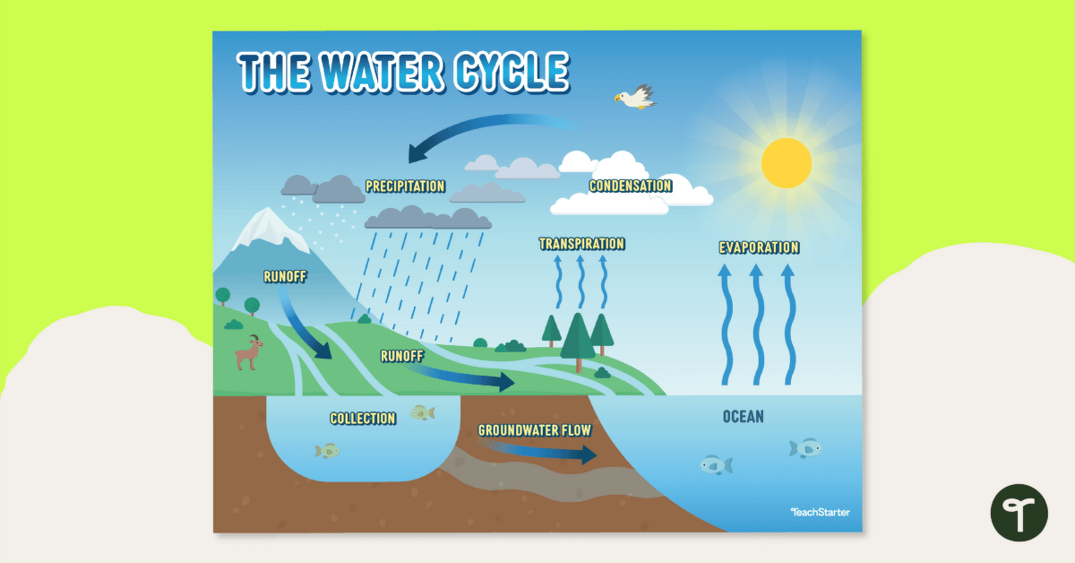 Water cycle diagram teach starter