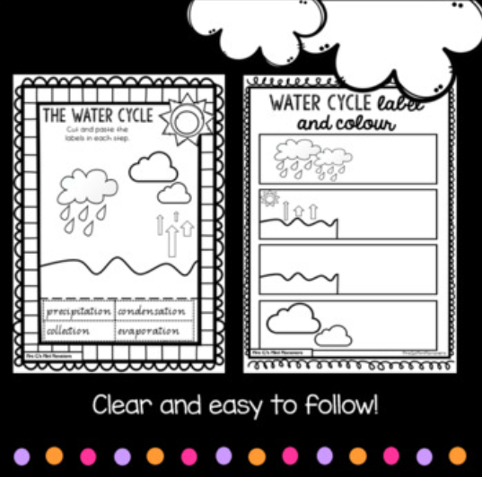 Watercycle worksheets made by teachers
