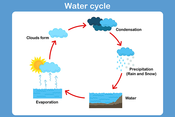 Facts about water cycle for kids and activities to do