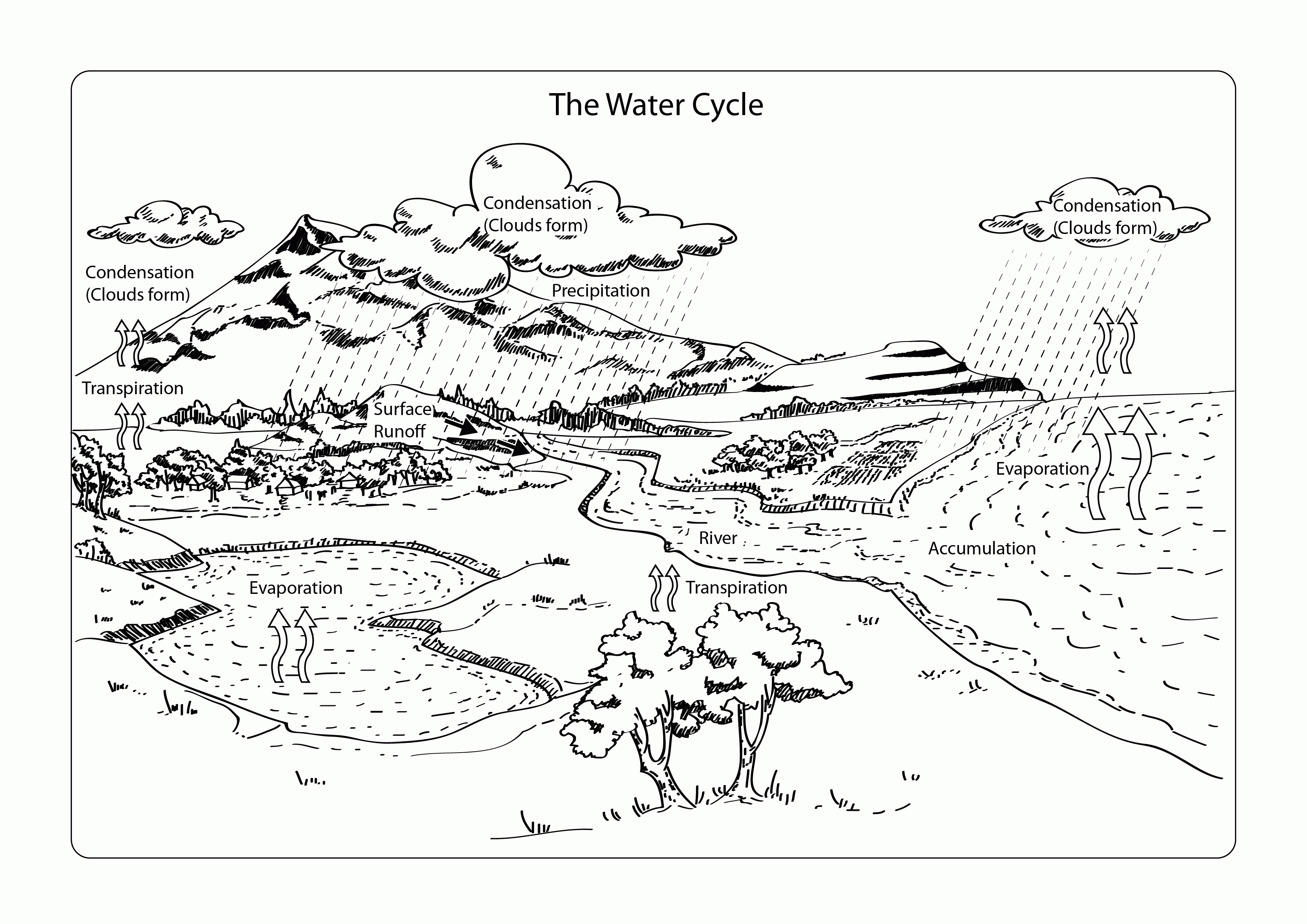 Free water cycle for kids coloring page download free water cycle for kids coloring page png images free cliparts on clipart library