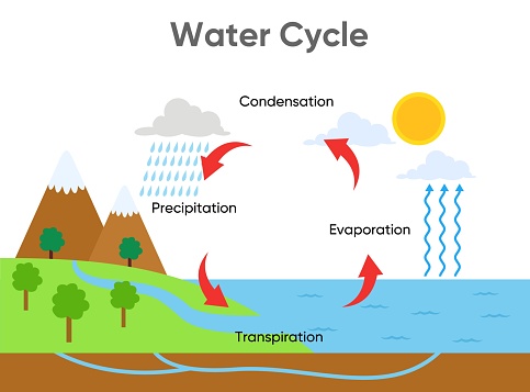 Water cycle diagram with rainfall and ocean vector design illustration stock illustration
