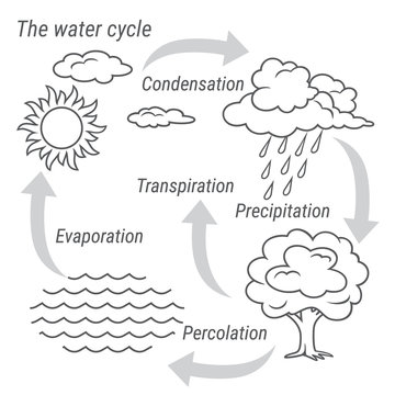 Water cycle diagram images â browse photos vectors and video