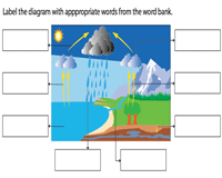 Water cycle worksheets