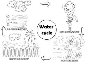 Water cycle coloring tpt