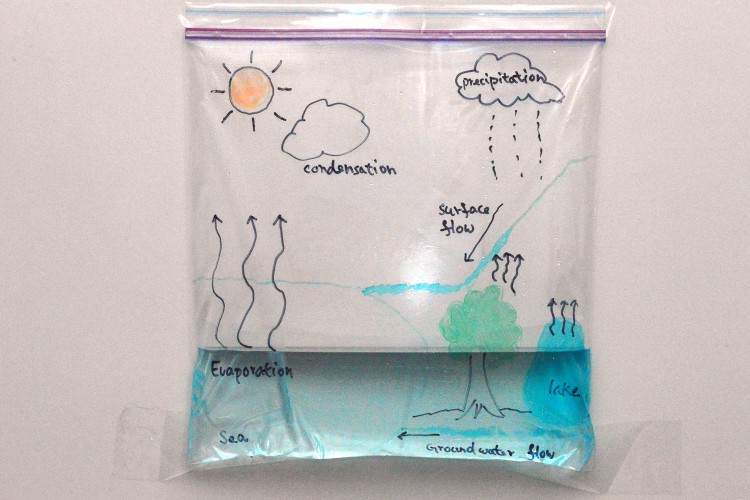 Water cycle project