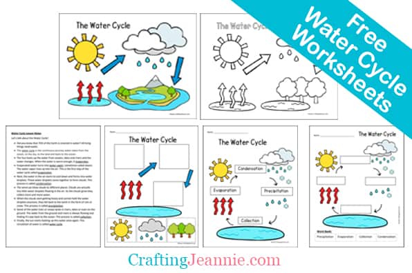 Groundhog coloring pages free printable