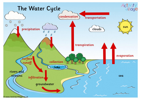 The water cycle