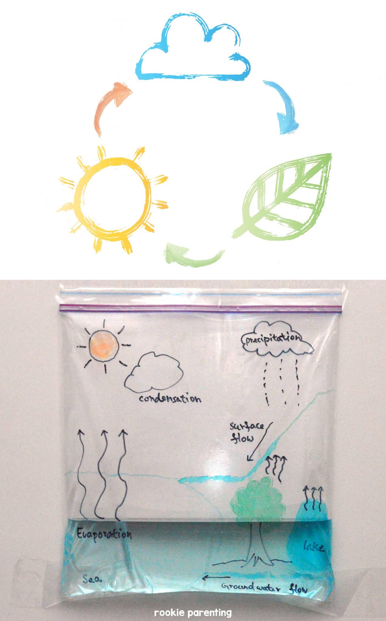 Water cycle project