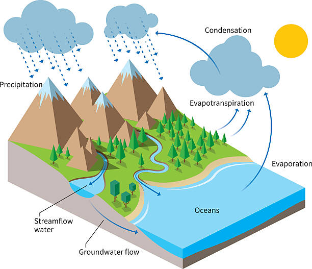 Water cycle stock photos pictures royalty