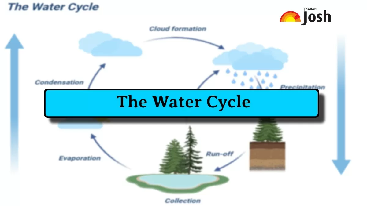 Water cycle process stages and diagram
