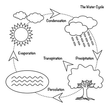 The water cycle vector schematic representation of the water cycle in nature illustration of diagram water cycle cycle water in nature environment vector