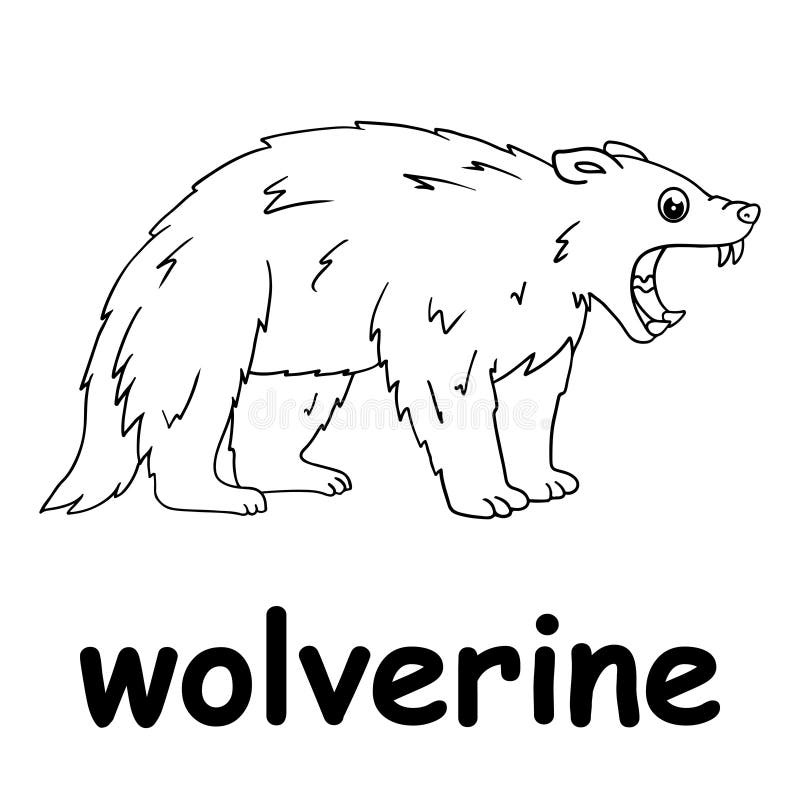 Wolverine outline stock illustrations â wolverine outline stock illustrations vectors clipart