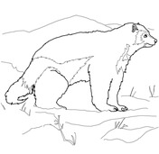 Wolverine coloring pages free coloring pages
