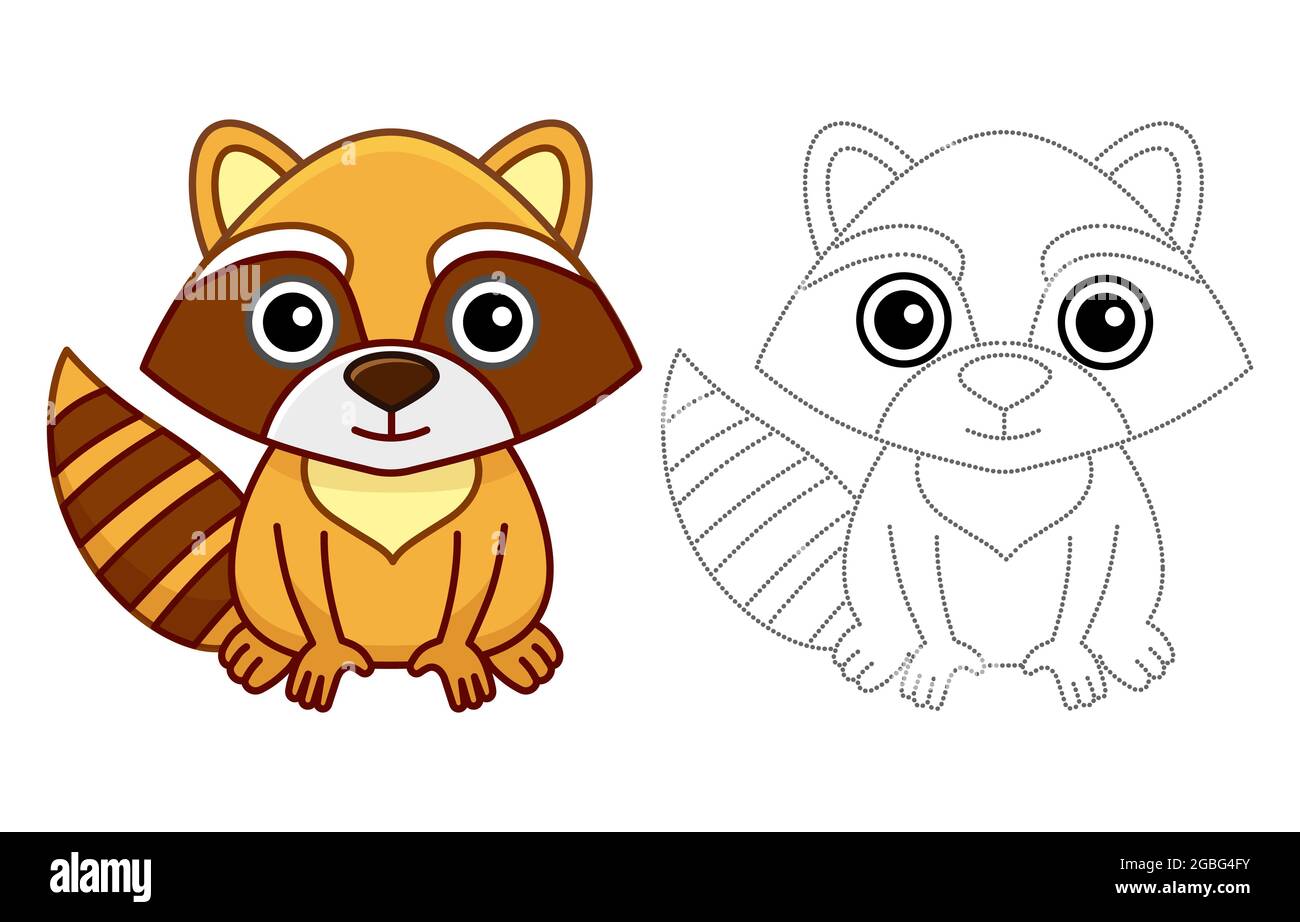 Zoo animal for children coloring book funny raccoon in a cartoon style trace the dots and color the picture stock vector image art