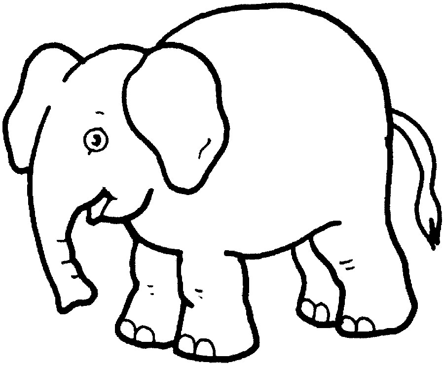 Land animals to color