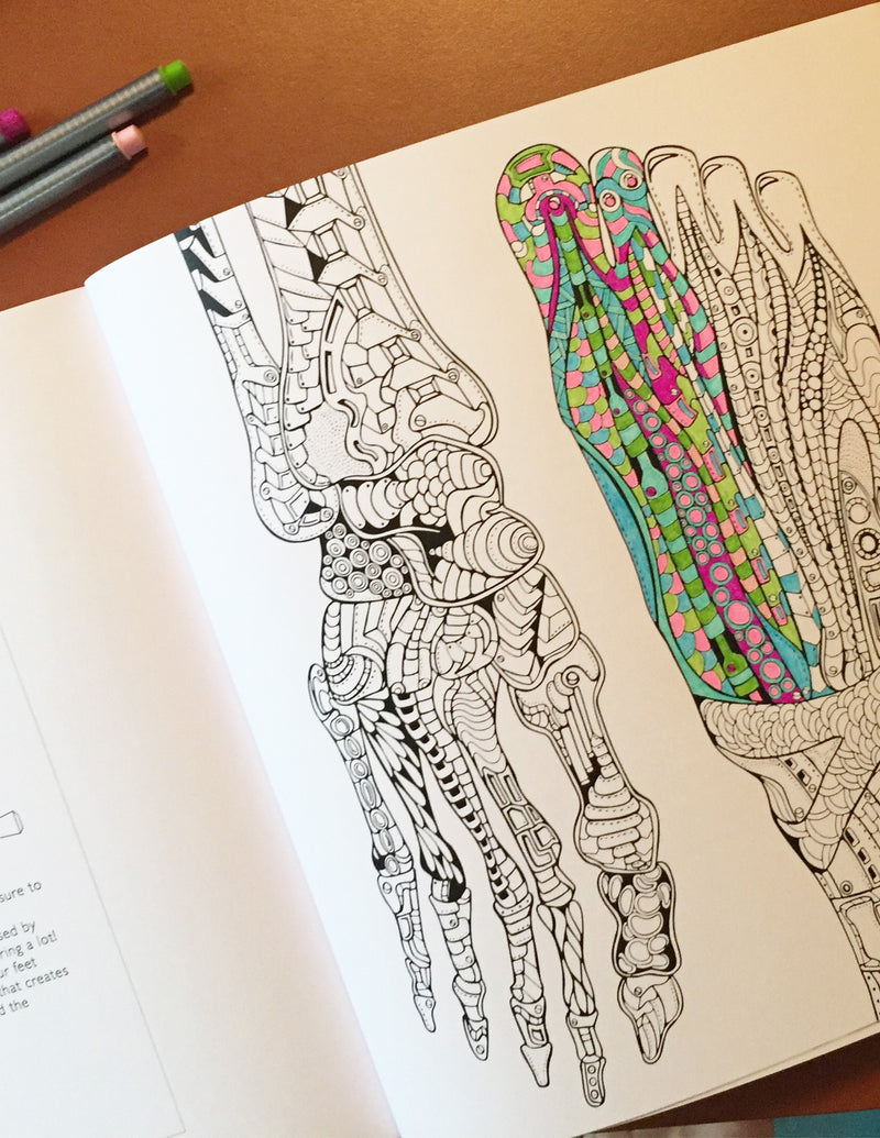 Show me your guts the anatomically correct coloring book â