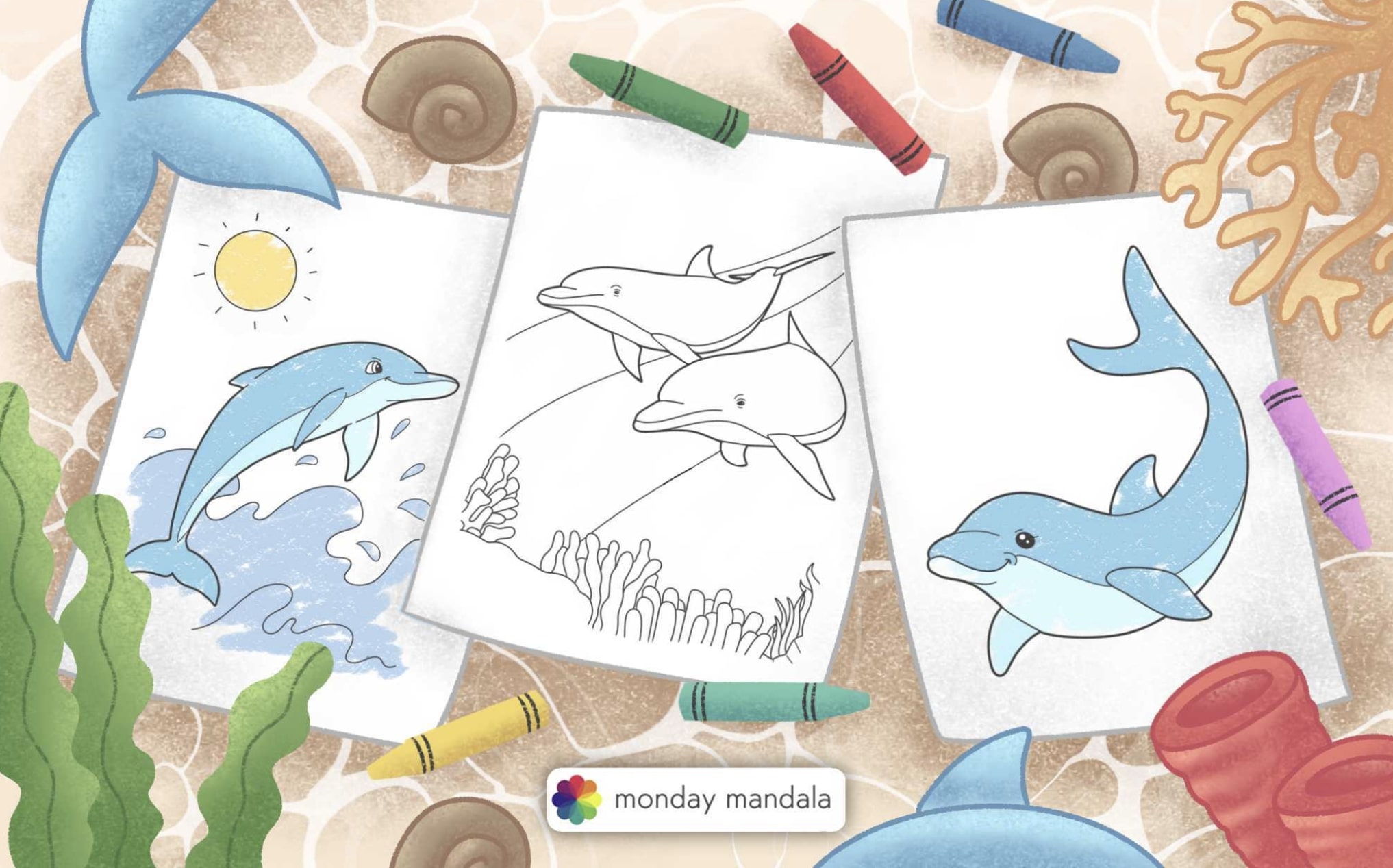 Dolphin coloring pages free pdf printables