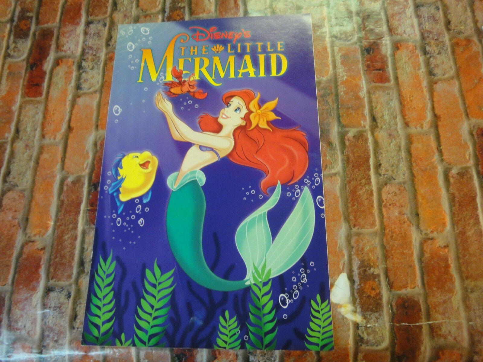 Walt disney world eyes ears nov the little mermaid ariel full color cover