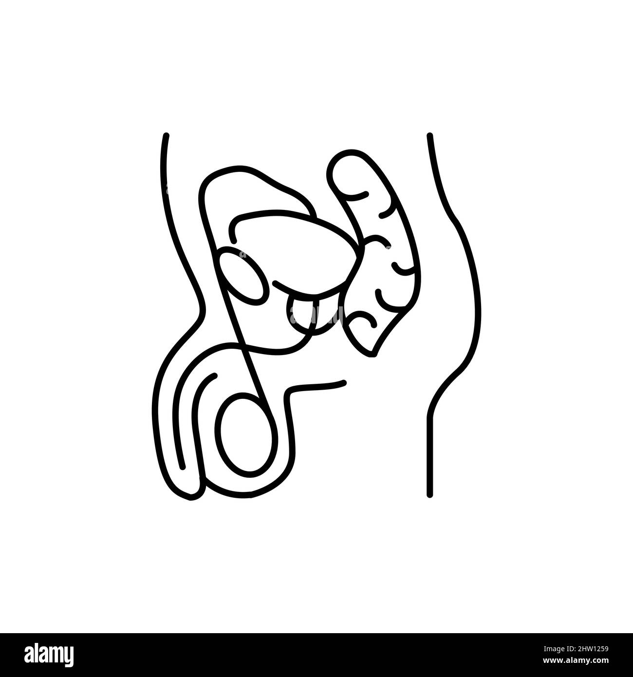 Icono de lãnea de color del sistema genitourinario masculino pictograma para pãgina web aplicaciãn mãvil promociãn imagen vector de stock