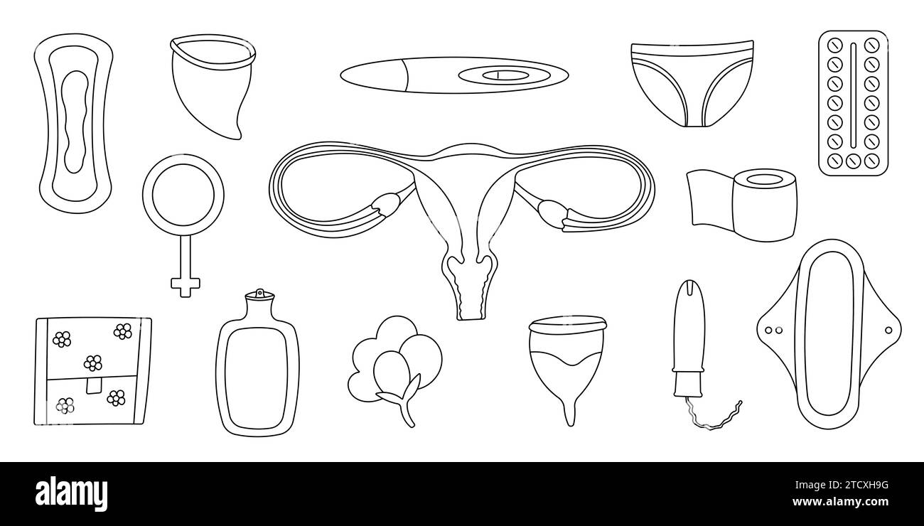 Ãrgano reproductor femenino imãgen de stock en blanco y negro