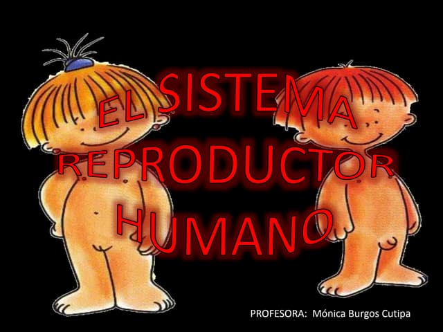 Sistema reproductor ppt