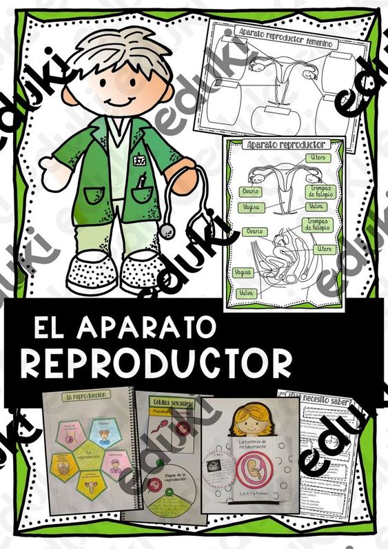Pin en ciencias de la naturaleza primaria