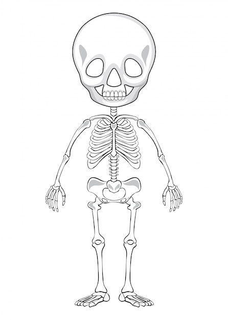 Skeleton coloring page vectors illustrations for free download