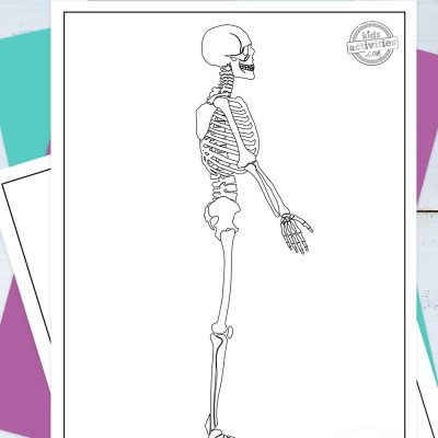 Best free skeleton coloring pages kids activities blog