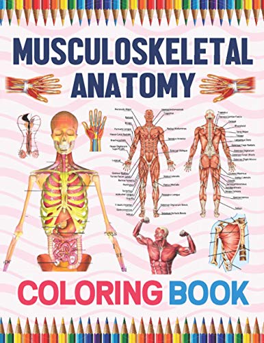 Buy musculoskeletal anatomy coloring book muscular skeletal system coloring book for kids musculoskeletal anatomy coloring pages for kids human body anatomy students self