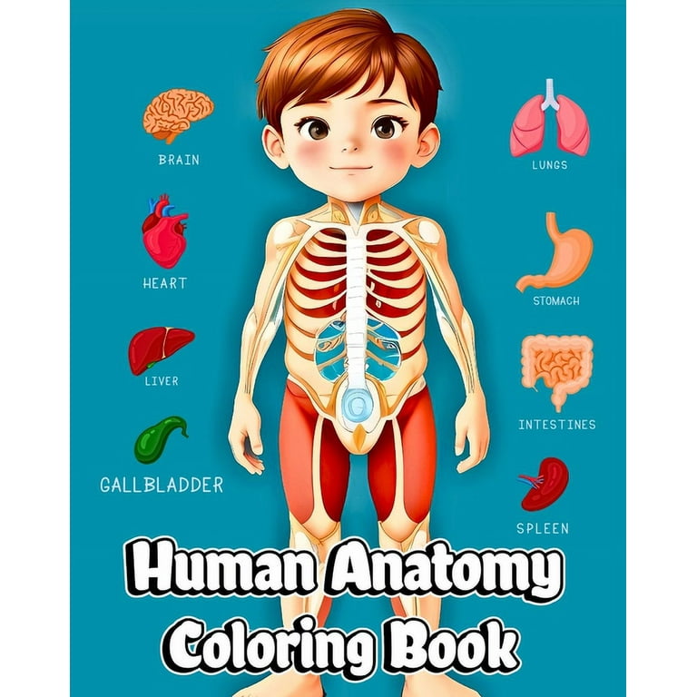 Human anatomy coloring book educational coloring pages of organs cells skeleton for boys girls paperback