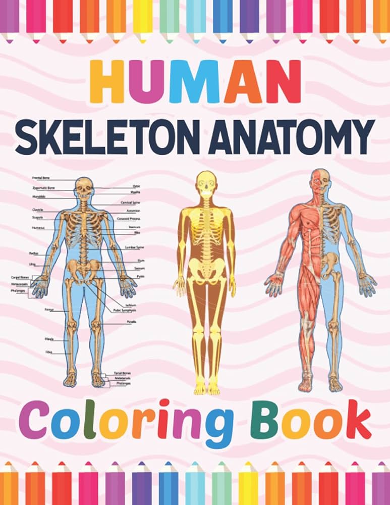 Human skeleton anatomy loring book skeleton anatomy loring book for kids human skeleton anatomy loring pages for toddlers teens human body anatomy loring book for anatomy students skeleton anatomy loring book