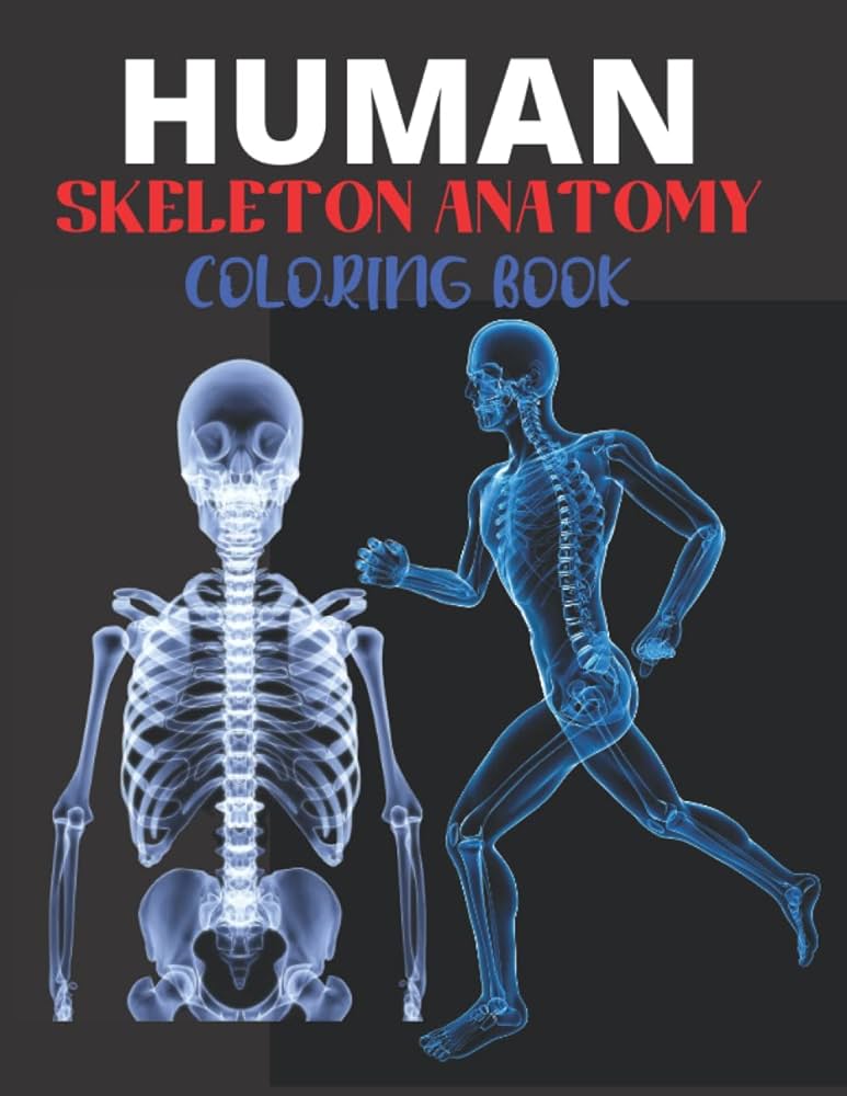 Human skeleton anatomy coloring book fun way to learn anatomy skeleton human for adults teens doctors nurses and students by viva book