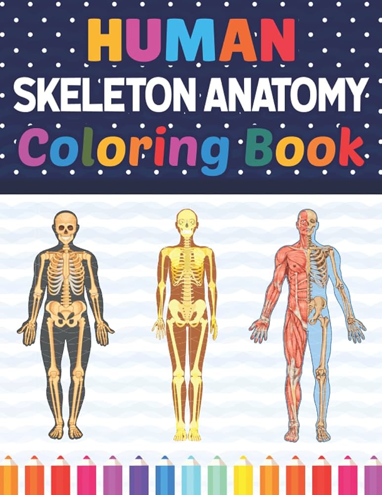 Human skeleton anatomy coloring book skeleton coloring work book for medical and nursing students childrens science books human skeleton anatomy coloring book for medical nursing student publication sarlayniacell